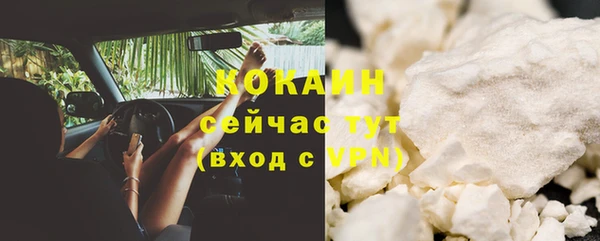 шишки Бородино