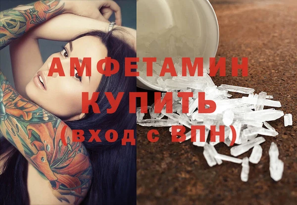 шишки Бородино