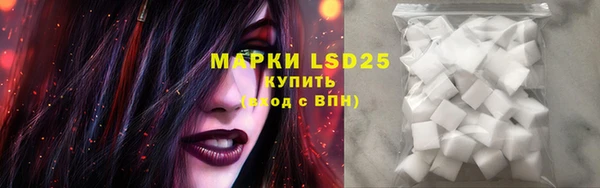 шишки Бородино