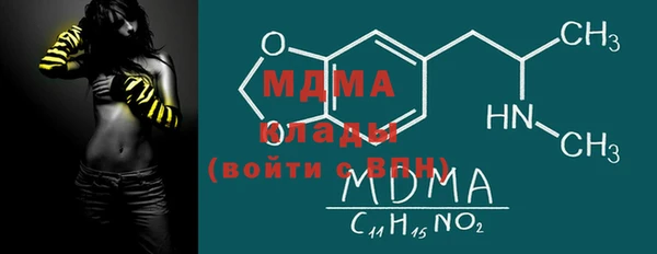 шишки Бородино