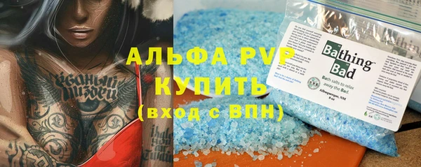 шишки Бородино