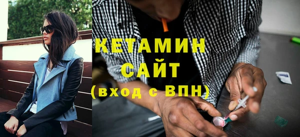 шишки Бородино