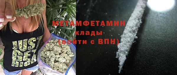 шишки Бородино