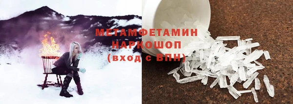 шишки Бородино