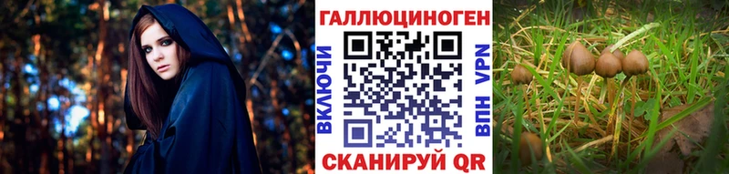Галлюциногенные грибы Magic Shrooms  продажа наркотиков  shop формула  Уссурийск 